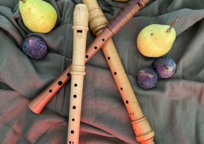 flûte à bec, Blockflöte, Recorder