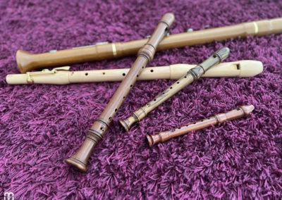 flûte à bec, Blockflöte, Recorder