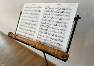 flûte à bec, Blockflöte, Recorder