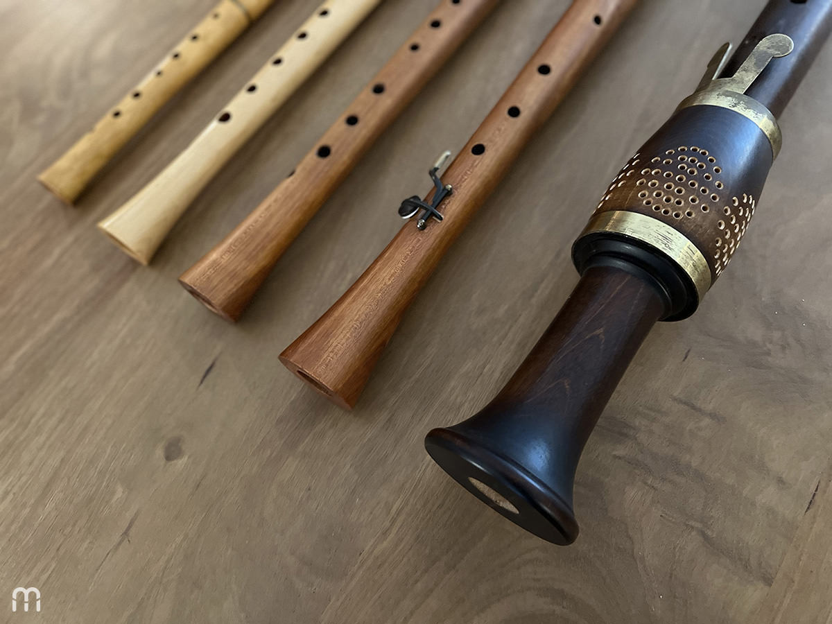 Lot De 2 Flûtes à Bec En Bois Avec Tige De Nettoyage - Jouet Musical éducatif Pour Enfants Dès 4 Ans